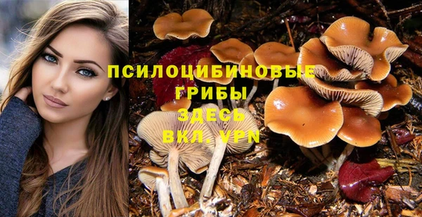 дурь Володарск