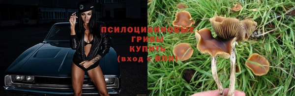 дурь Володарск